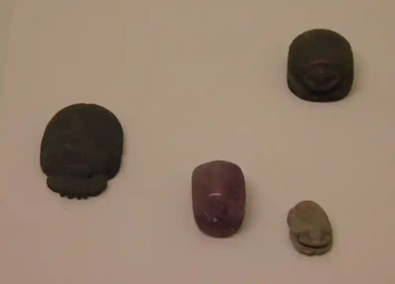 Skarabeler or Scarabs (Dung beetle)